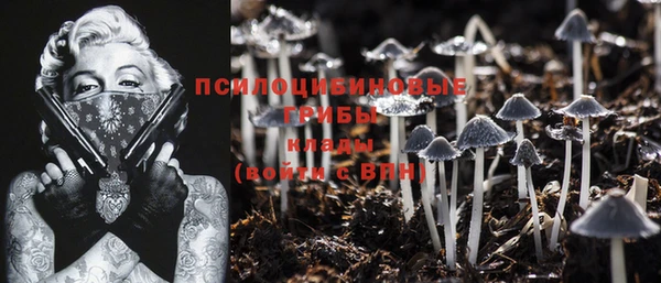 mdpv Арсеньев