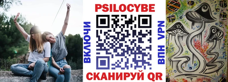 цены наркотик  МЕГА ссылки  Псилоцибиновые грибы Psilocybe  Ревда 
